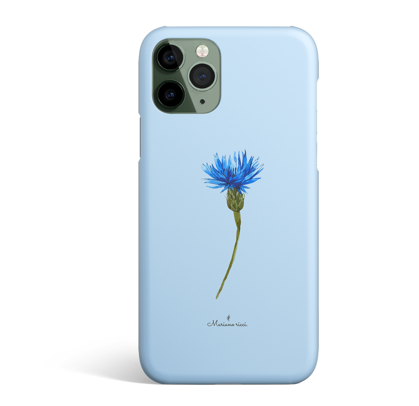 Cornflower