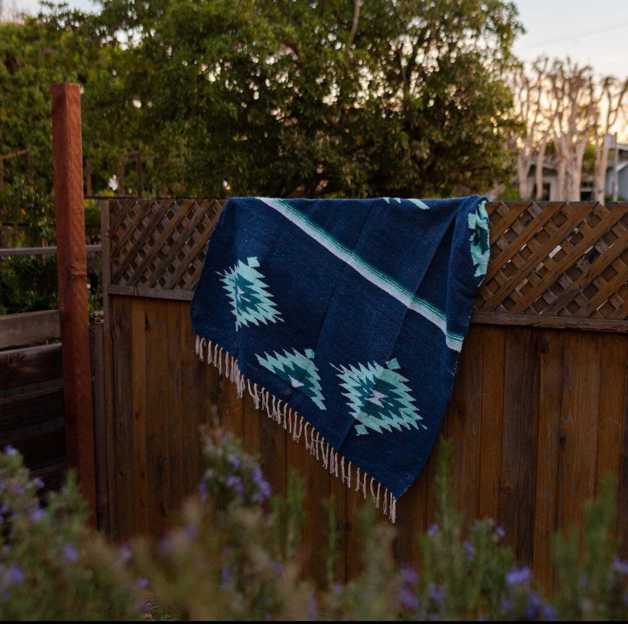 Mexican Thunderbird Blanket- Tapestry