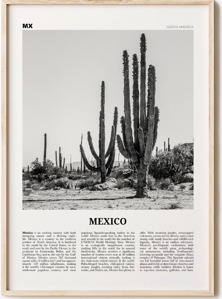 Mexico Print Black and White